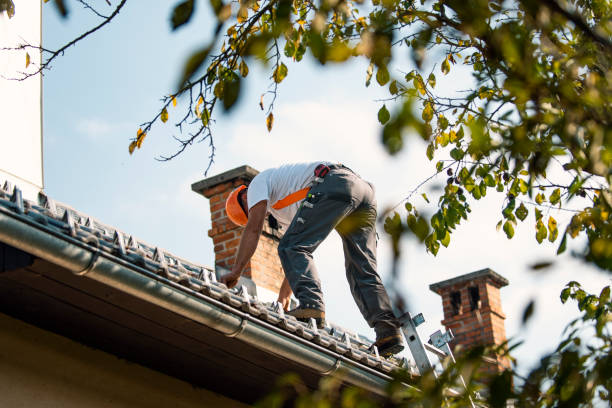 Roof Repair Estimates in Justice, IL