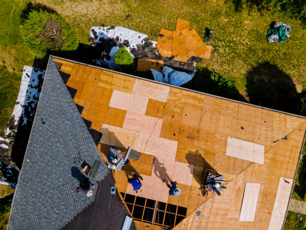 Best Commercial Roofing Services  in Justice, IL