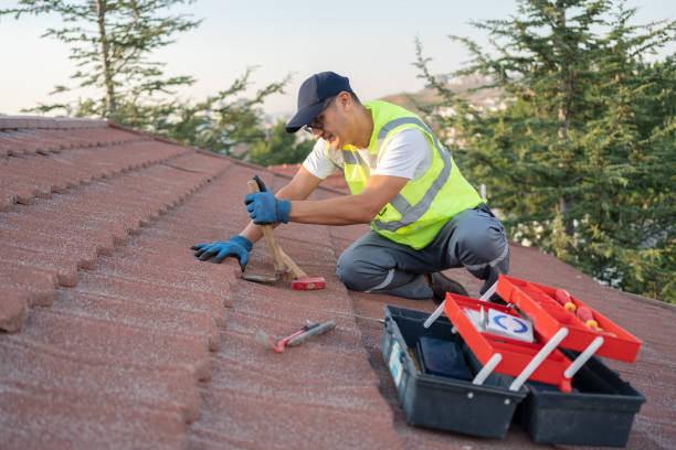Best Local Roofing Companies  in Justice, IL