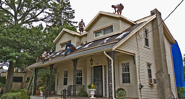 Best Roof Repair Services  in Justice, IL