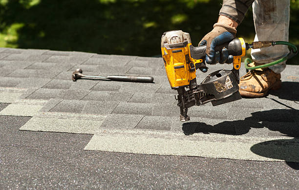 Best Roof Gutter Cleaning  in Justice, IL