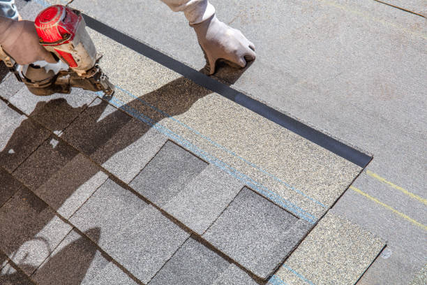 Best Roof Maintenance Services  in Justice, IL